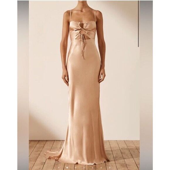 NWT Shona Joy Lace Front Maxi Dress Desert Rose sz 4 US - Picture 11 of 11